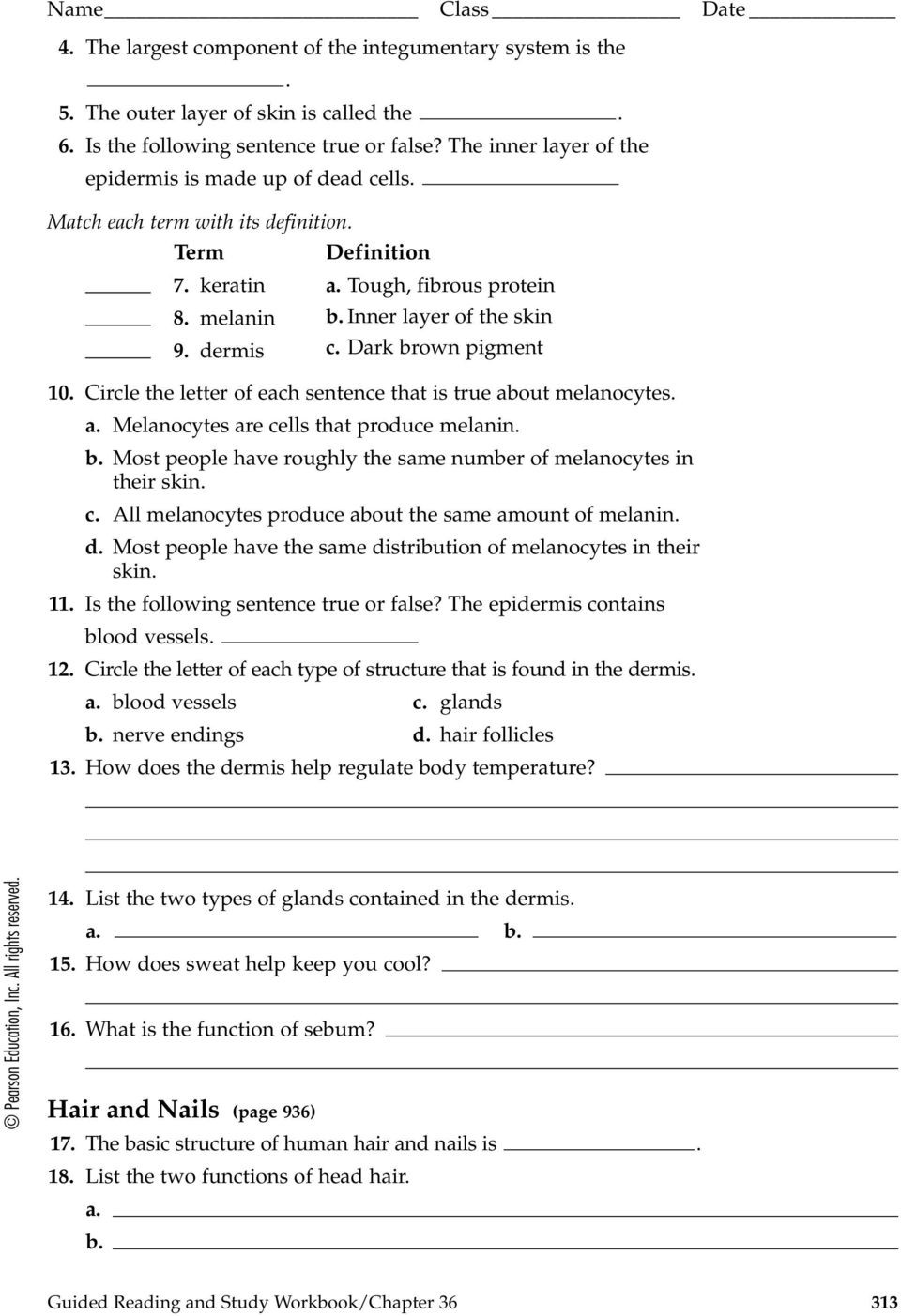 Integumentary System Worksheet Answers Skeletal Muscular and Integumentary Systems Pdf Free