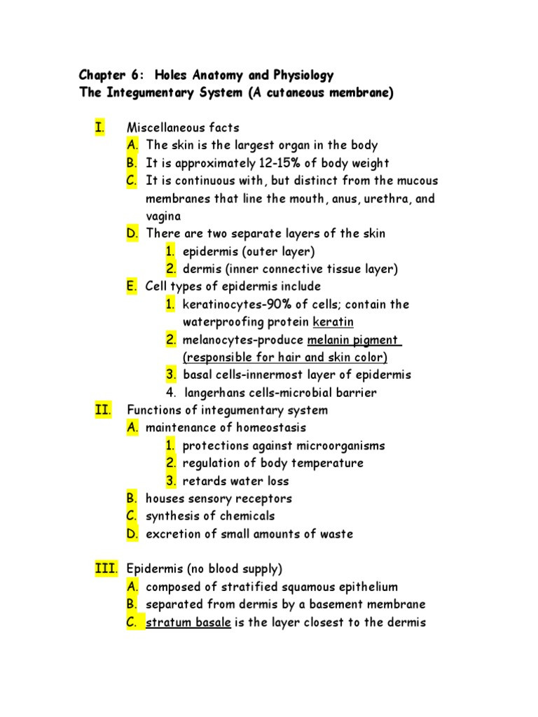 Integumentary System Worksheet Answers top Ten Floo Y Wong Artist — Integumentary System Worksheet