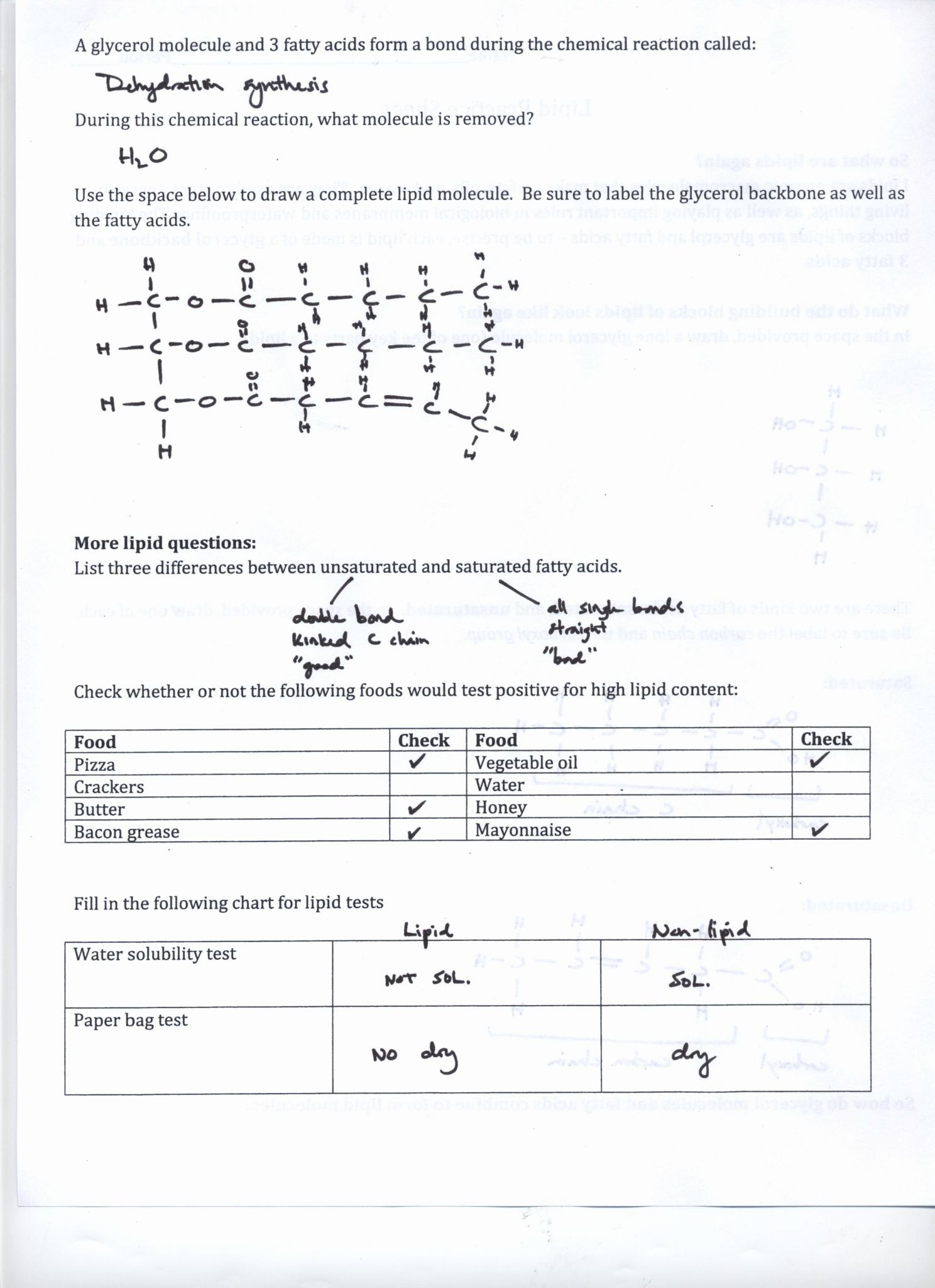 Isotope Practice Worksheet Answers isotopes Worksheet Pdf Answers