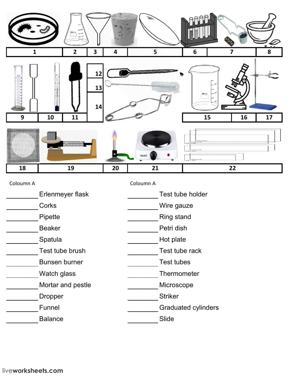 Lab Equipment Worksheet Answer Key Science Lab Equipment Test Interactive Worksheet