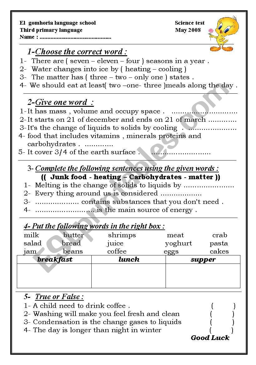 Language Of Science Worksheet Science for Third Primary Esl Worksheet by solygibaly