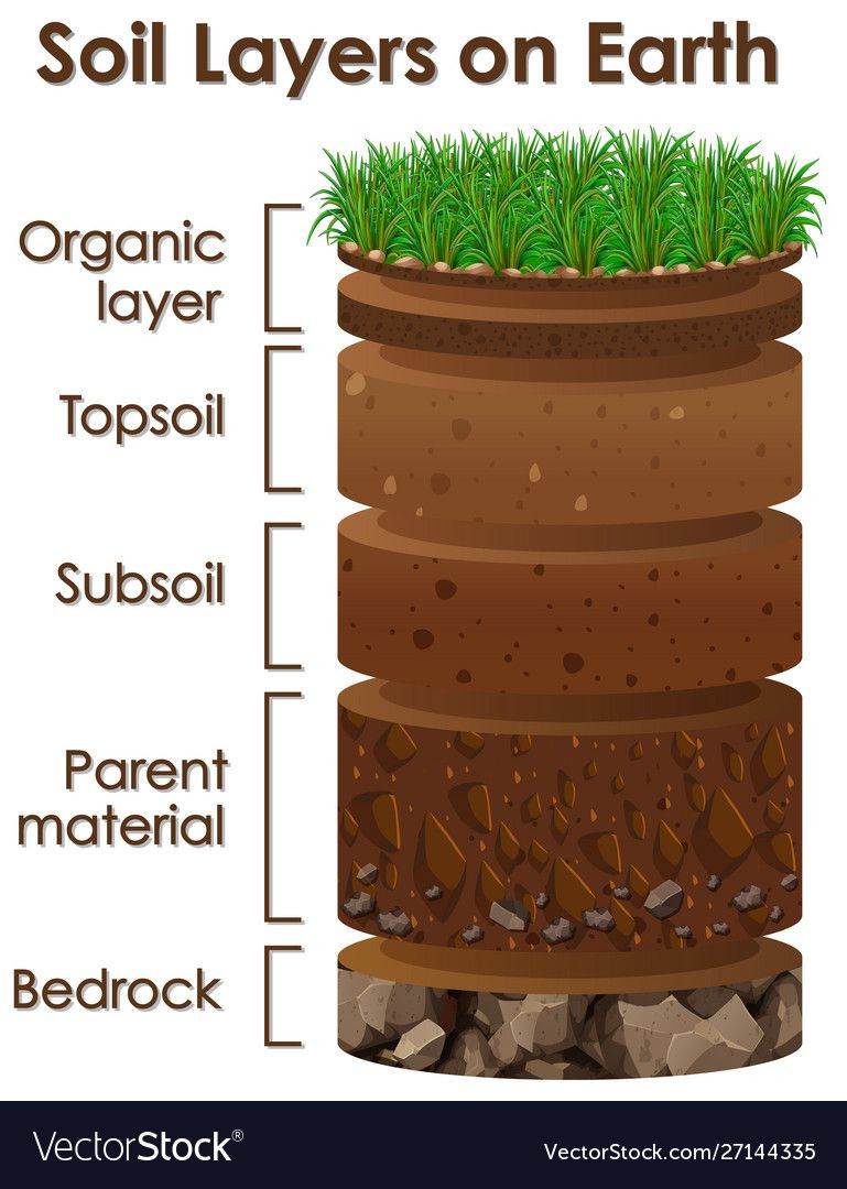 Layers Of soil Worksheet Diagram Showing soil Layers On Earth Vector Image On