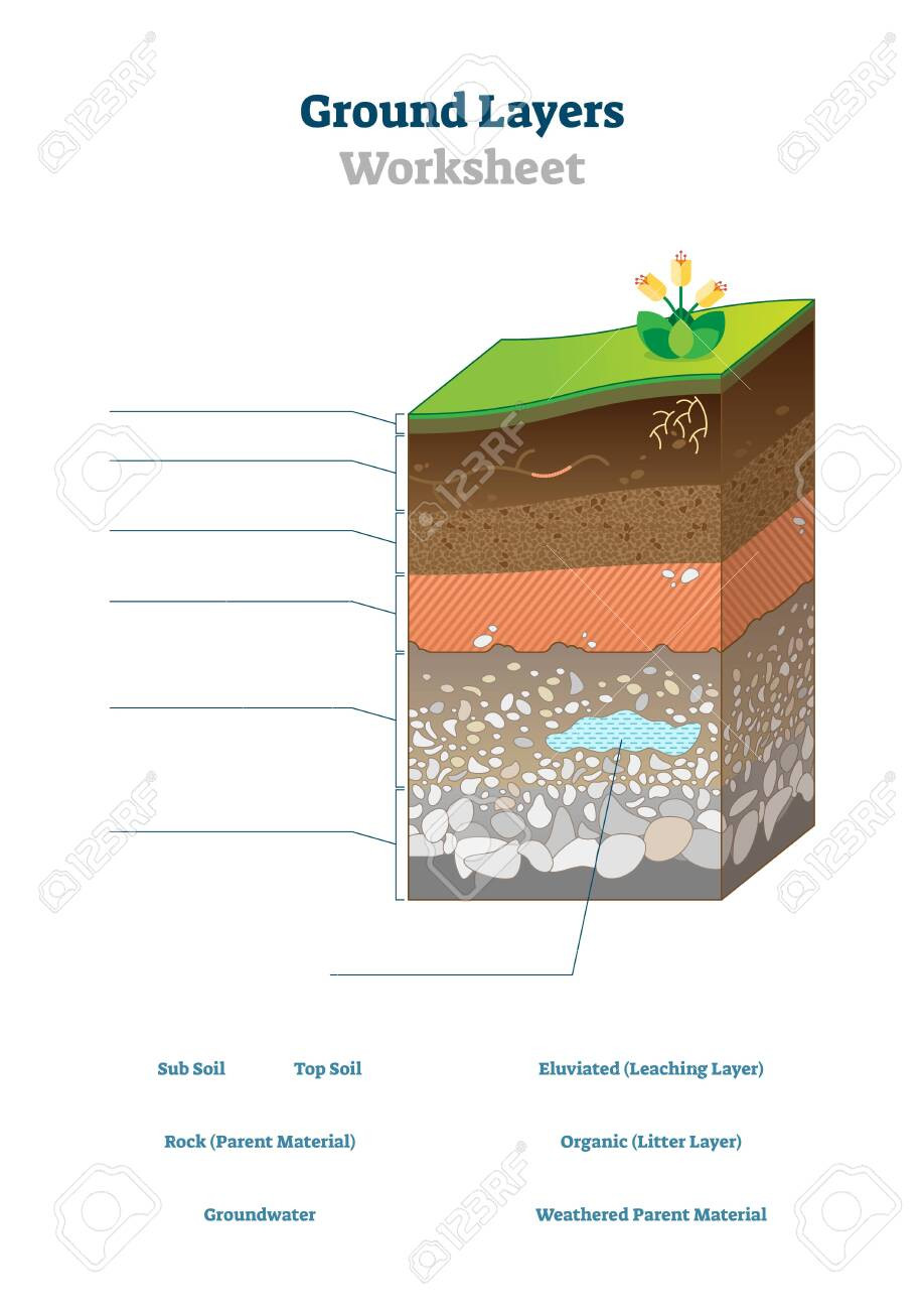 Layers Of soil Worksheet Ground Layers Worksheet Vector Illustration soil Surface Blank