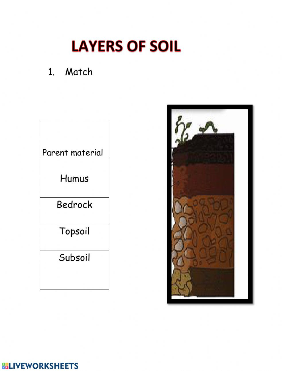 Layers Of soil Worksheet Layers Of soil Interactive Worksheet