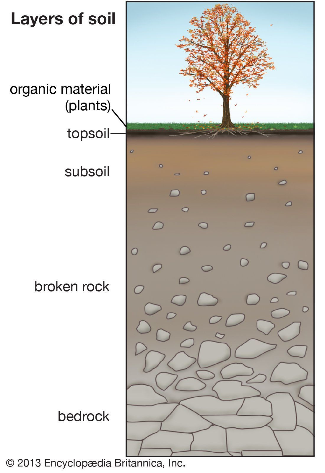Layers Of soil Worksheet soil Article Prehension Worksheet