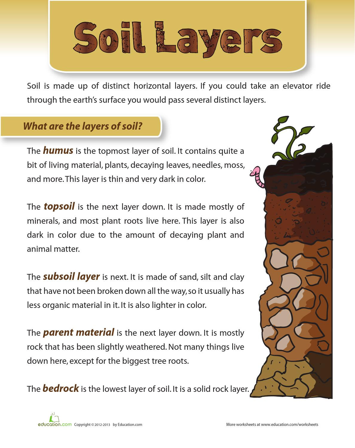 Layers Of soil Worksheet soil Layers by Paul Benitez issuu