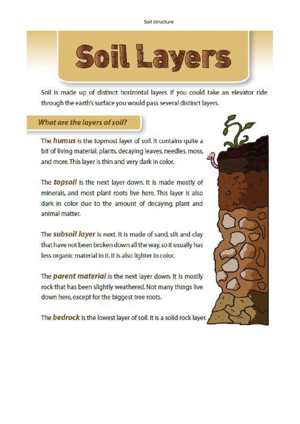 Layers Of soil Worksheet soil Layers Interactive Worksheet