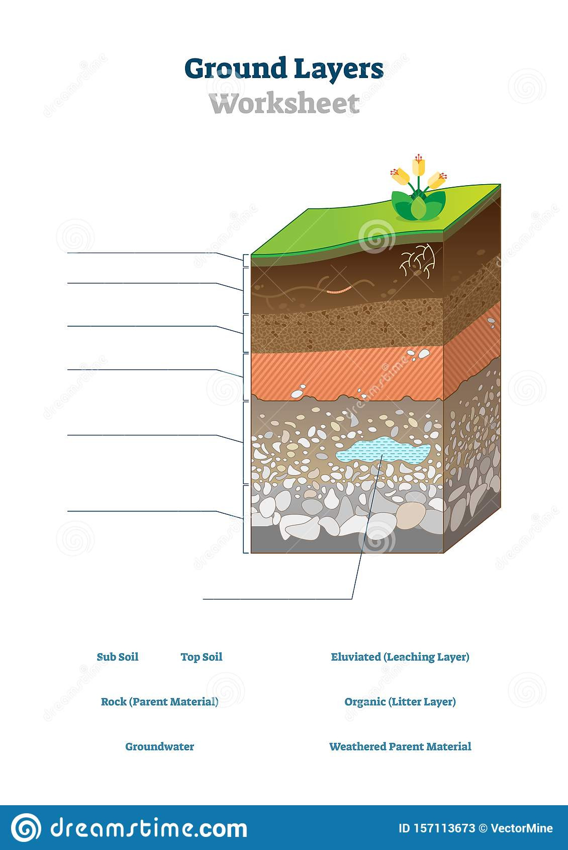 Layers Of the Earth Worksheet Ground Layers Worksheet Vector Illustration soil Surface