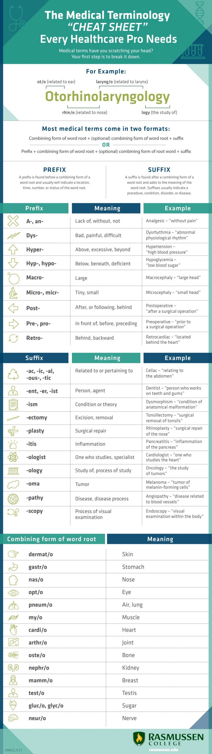 Medical Terminology Abbreviations Worksheet Cna Medical Terminology Worksheets