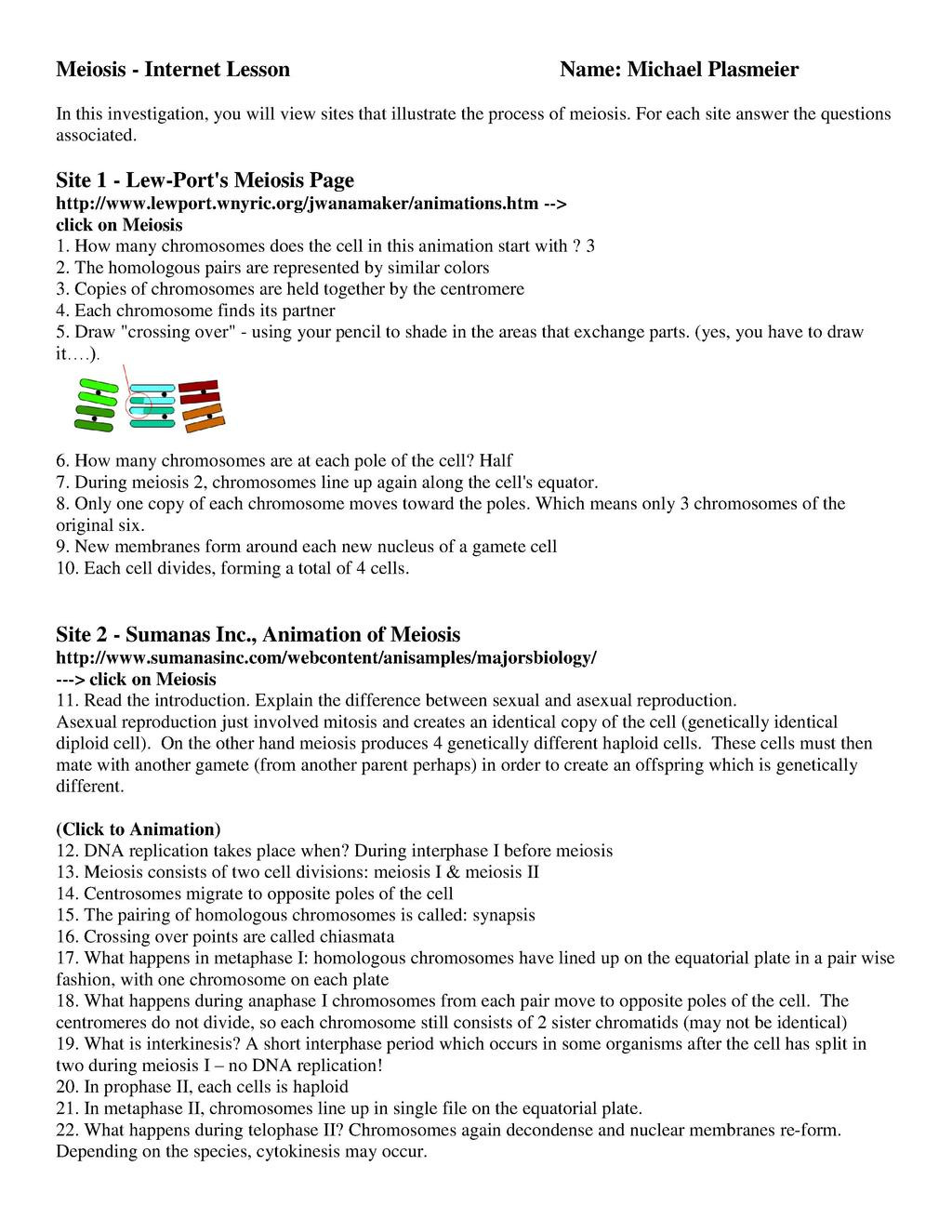 Meiosis Worksheet Vocabulary Answers File Meiosis Web Worksheet Pdf theplaz