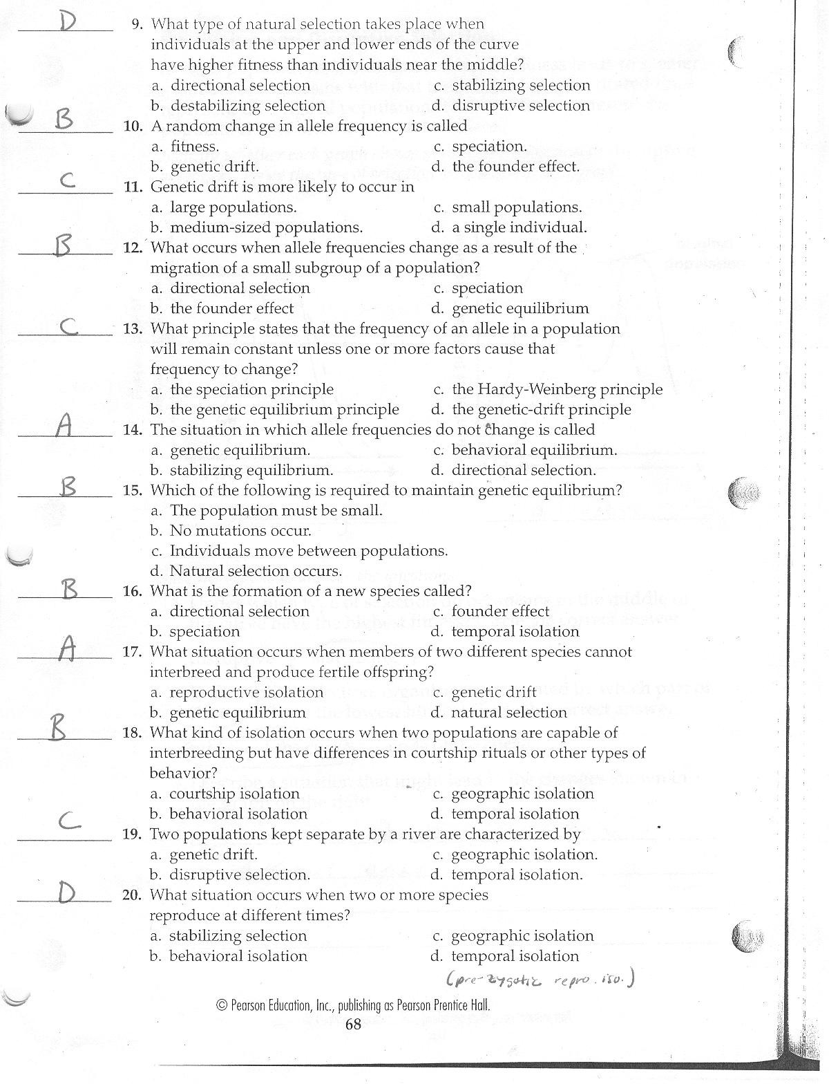 Meiosis Worksheet Vocabulary Answers Straubel Biology 2010 2011