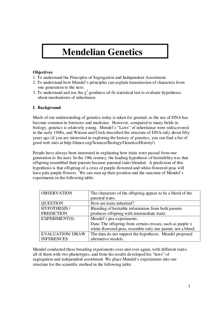 Mendelian Genetics Worksheet Answer Key Mendelian Genetics