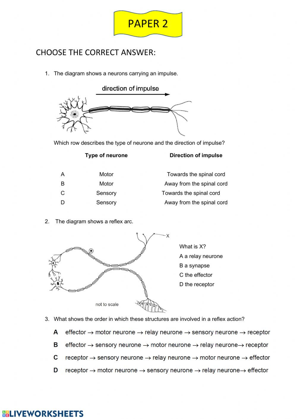 Nervous System Worksheet High School Human Nervous System Interactive Worksheet