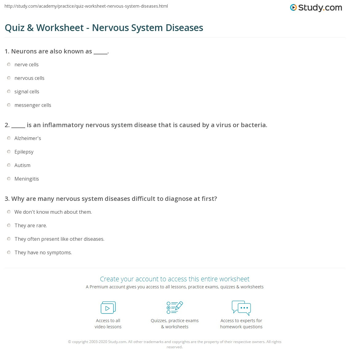 Nervous System Worksheet High School Quiz &amp; Worksheet Nervous System Diseases