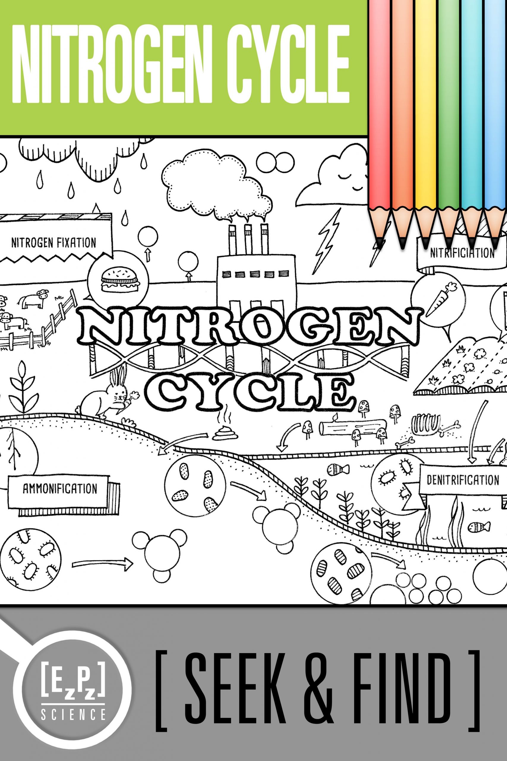 Nitrogen Cycle Worksheet Answer Key Nitrogen Cycle Seek and Find Science Doodle Page Printable