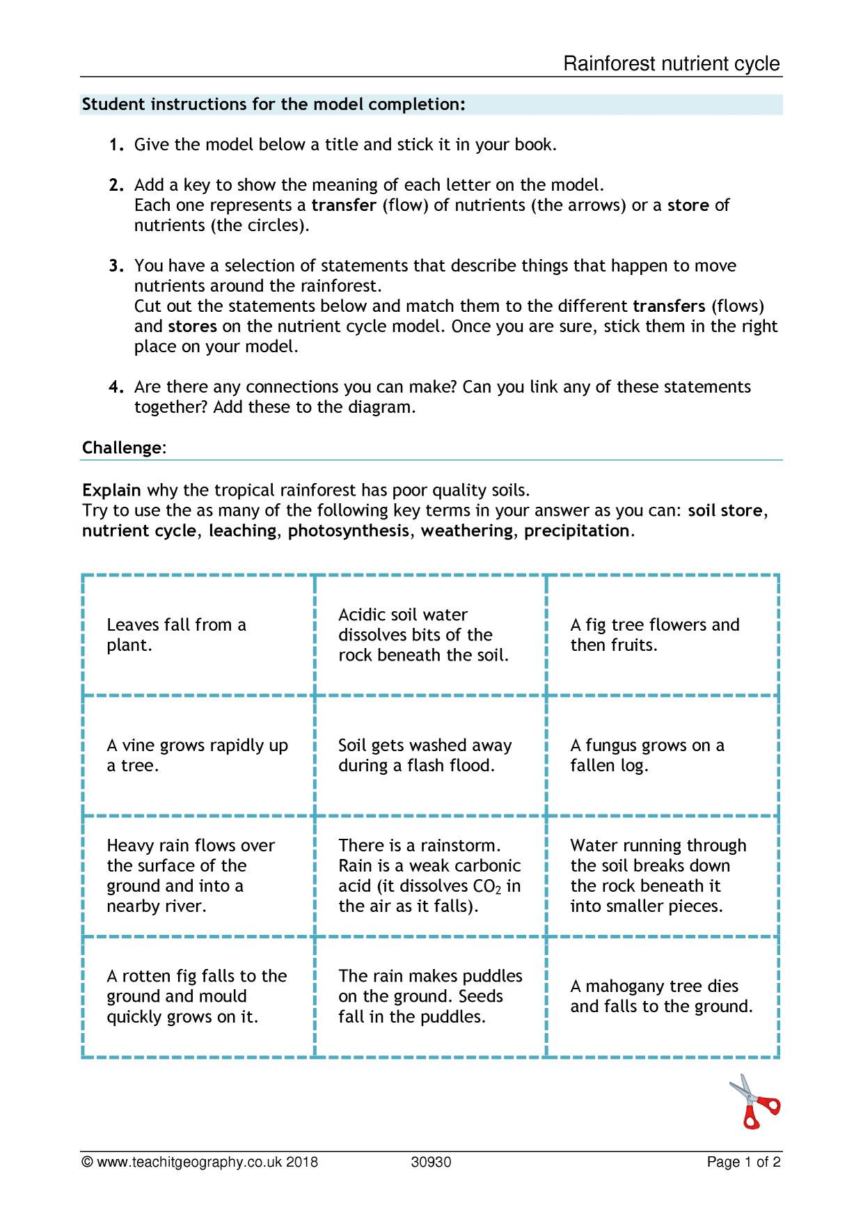 Nutrient Cycles Worksheet Answers Rainforest Nutrient Cycle