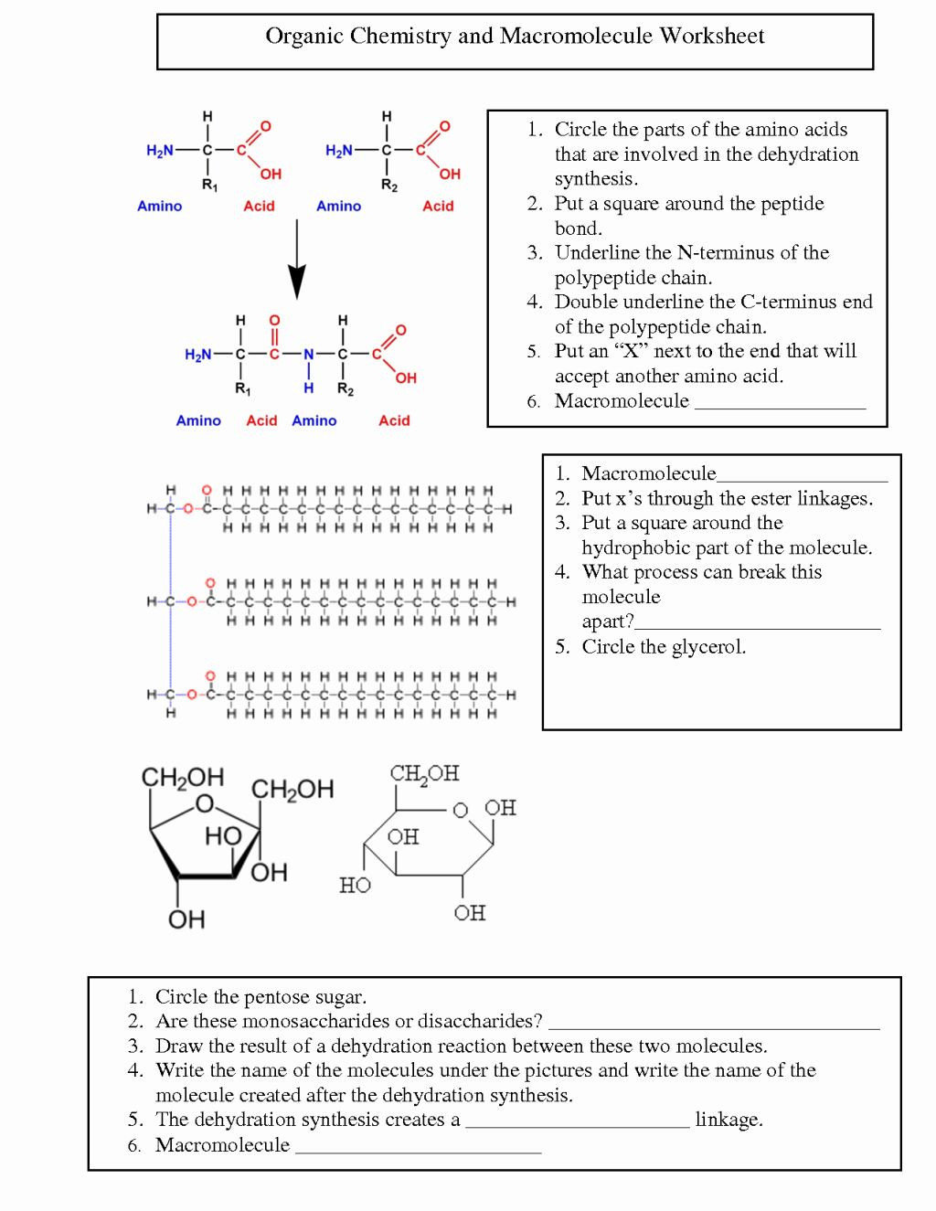 Organic Chemistry Worksheet with Answers 50 organic Chemistry Worksheet with Answers In 2020
