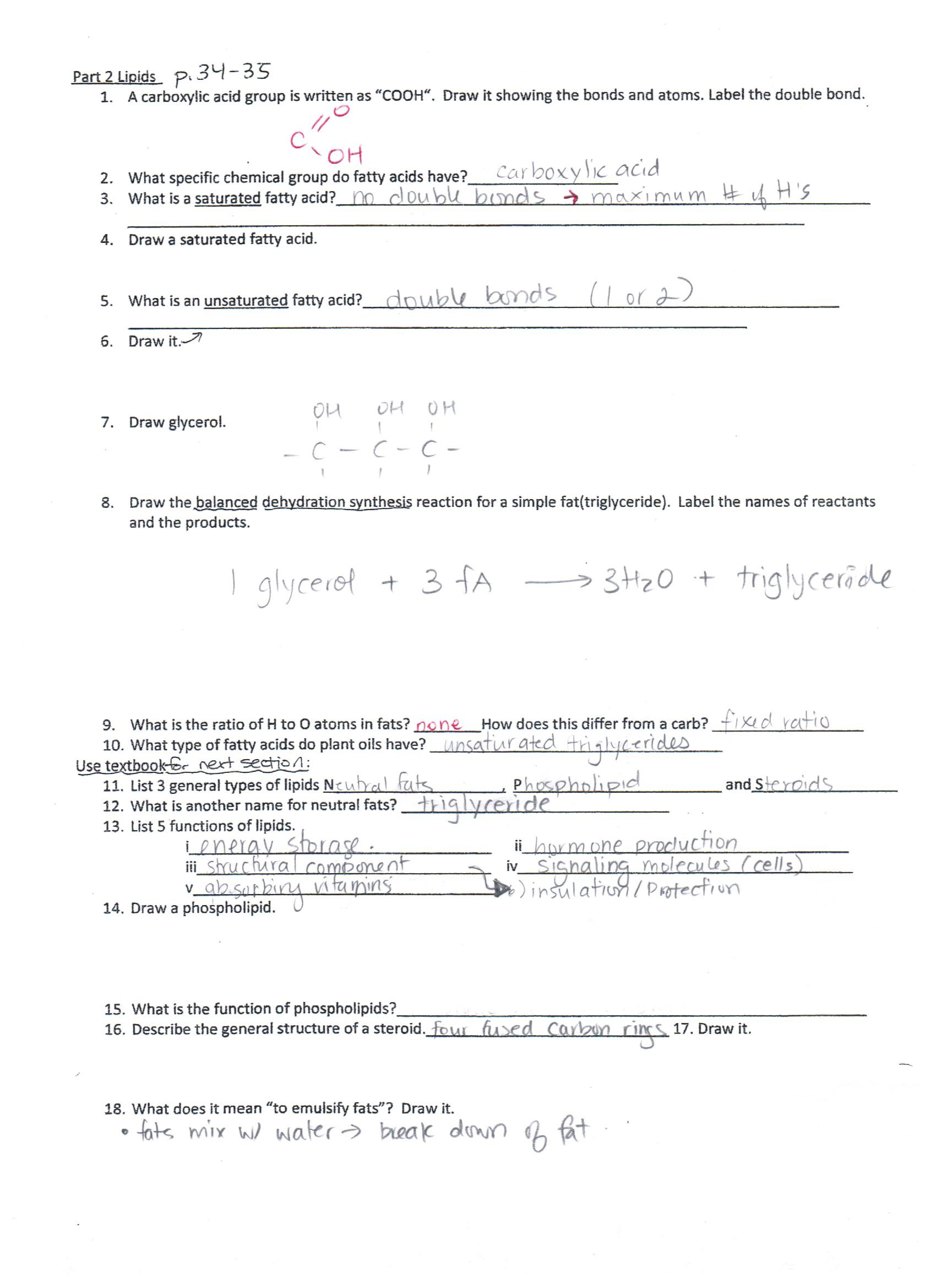 Organic Molecules Worksheet Answer Key Chemistry Carbohydrates Worksheet Answers