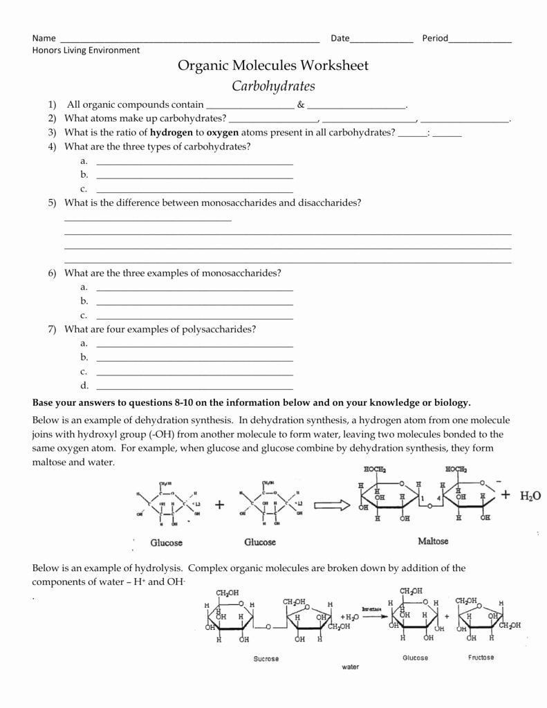Organic Molecules Worksheet Answer Key Pin On Printable Blank Worksheet Template