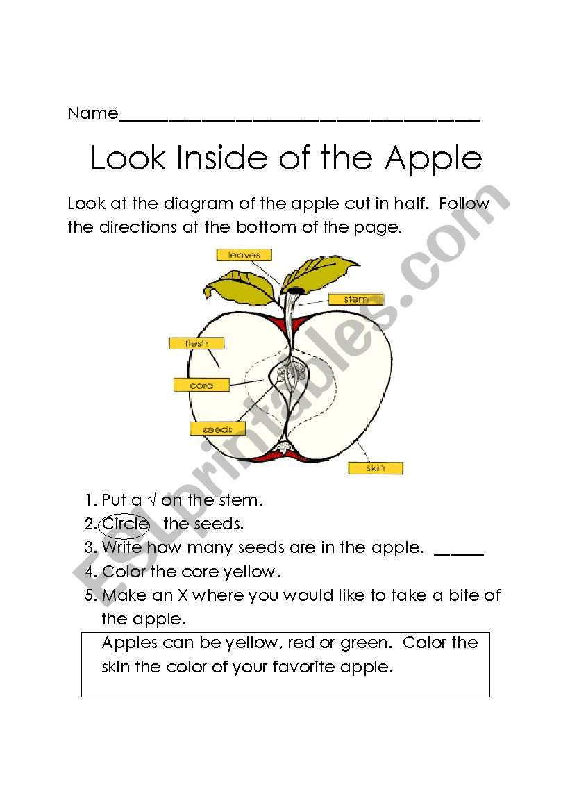 Parts Of An Apple Worksheet Apple Diagram Esl Worksheet by Skittles