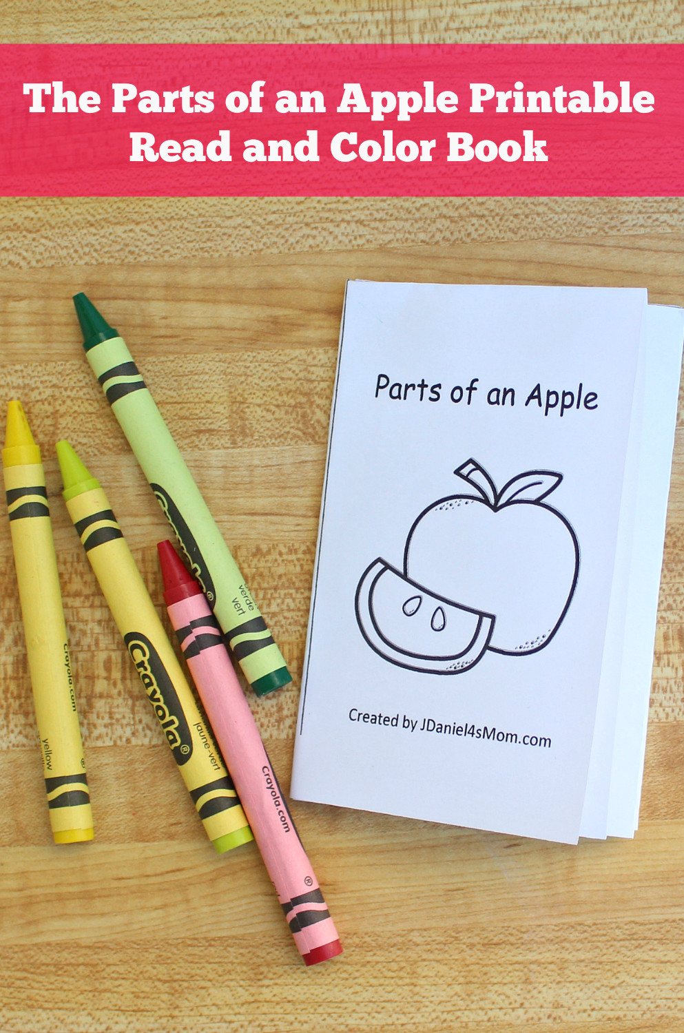 Parts Of An Apple Worksheet the Parts Of An Apple Printable Read and Color Book