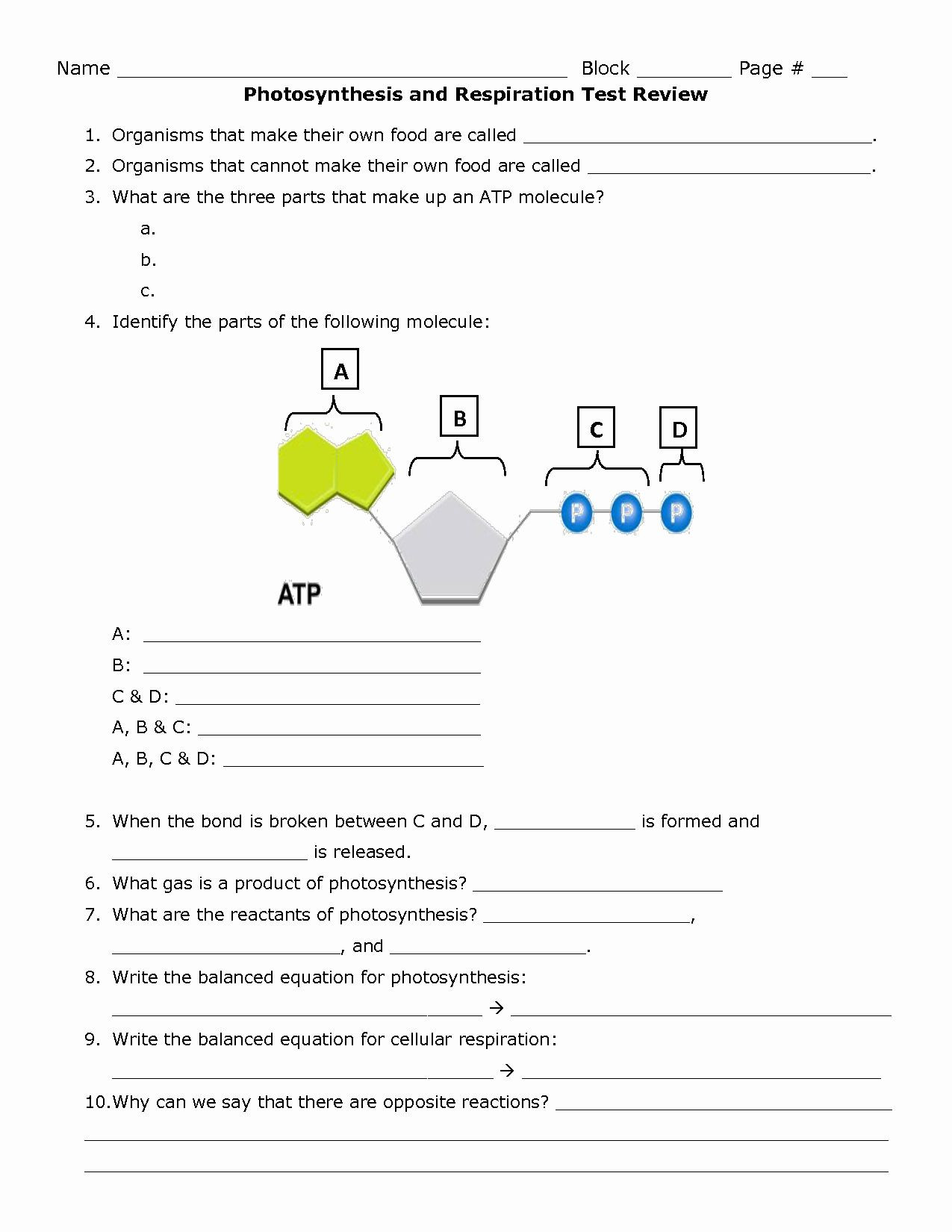 Photosynthesis and Respiration Worksheet 50 Synthesis Worksheet Answer Key In 2020