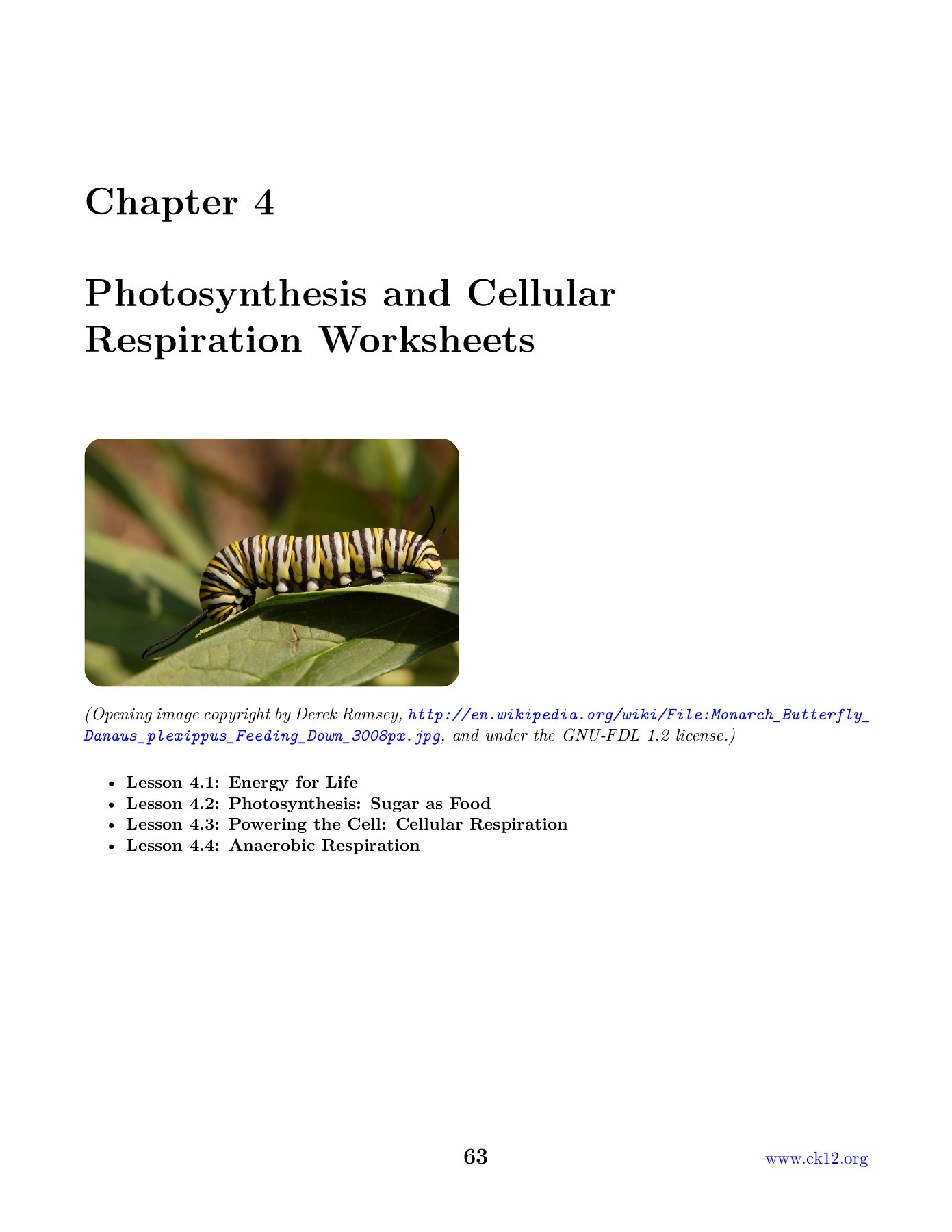 Photosynthesis and Respiration Worksheet Chapter 4 Synthesis and Cellular Respiration Worksheets