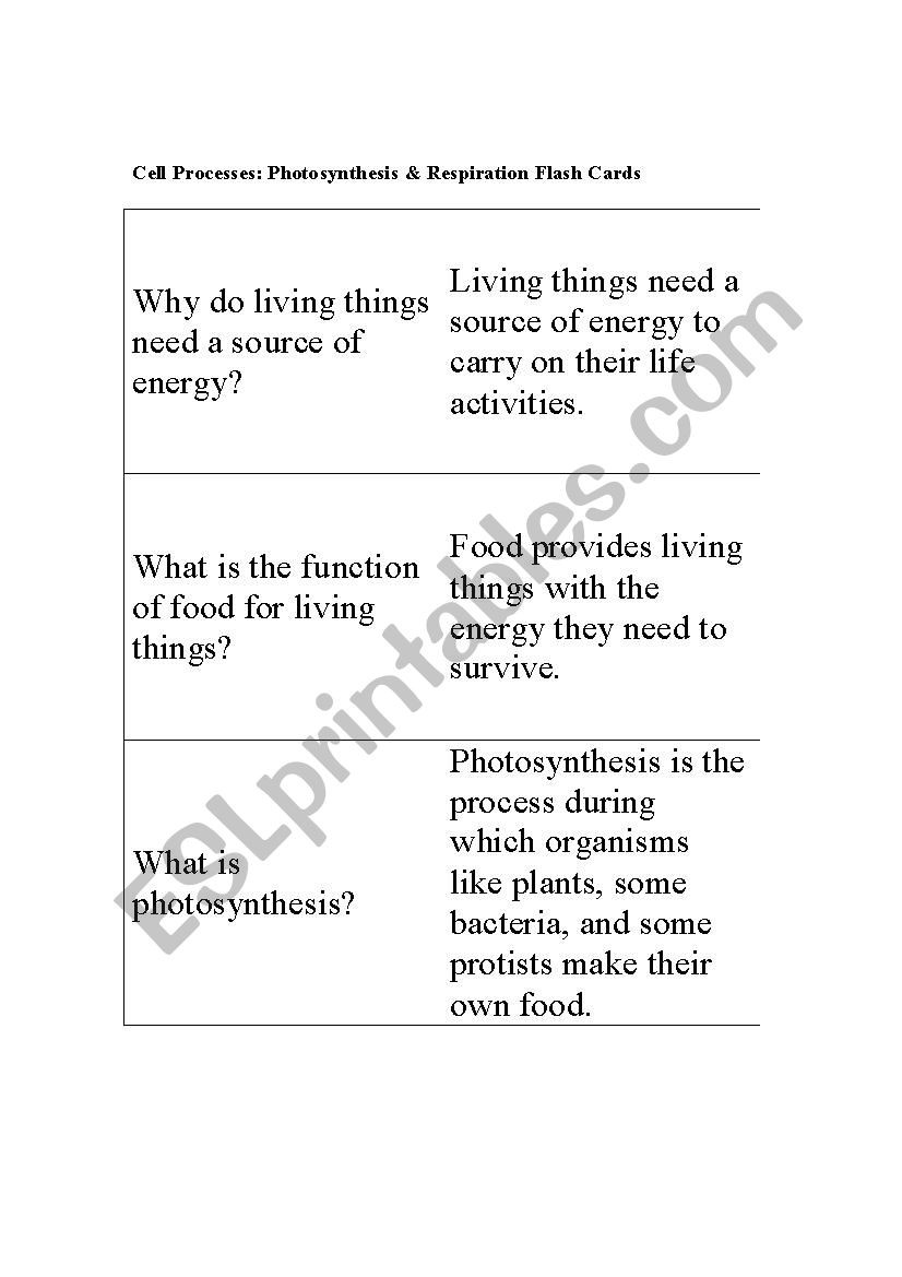 Photosynthesis and Respiration Worksheet Flash Cards Synthesis &amp; Respiration Esl Worksheet by