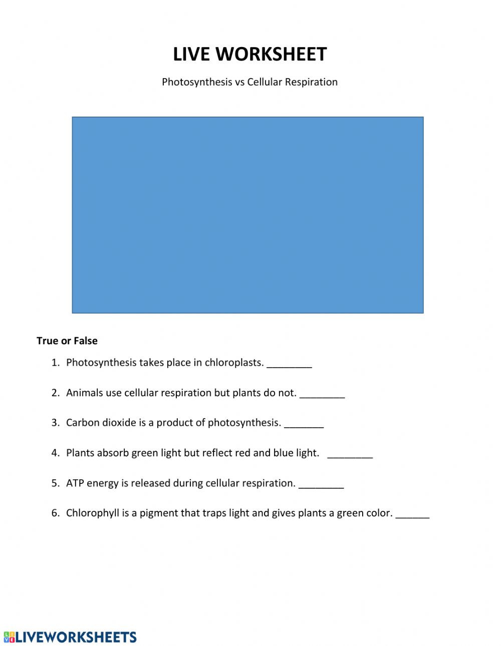 Photosynthesis and Respiration Worksheet Live Work Sheet Synthesis Vs Cellular Respiration