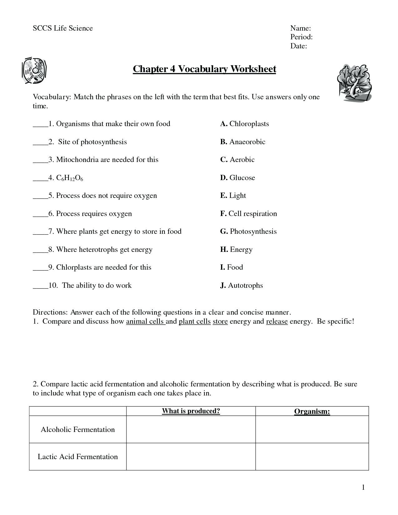 Photosynthesis and Respiration Worksheet Synthesis Activities Synthesis Worksheet High