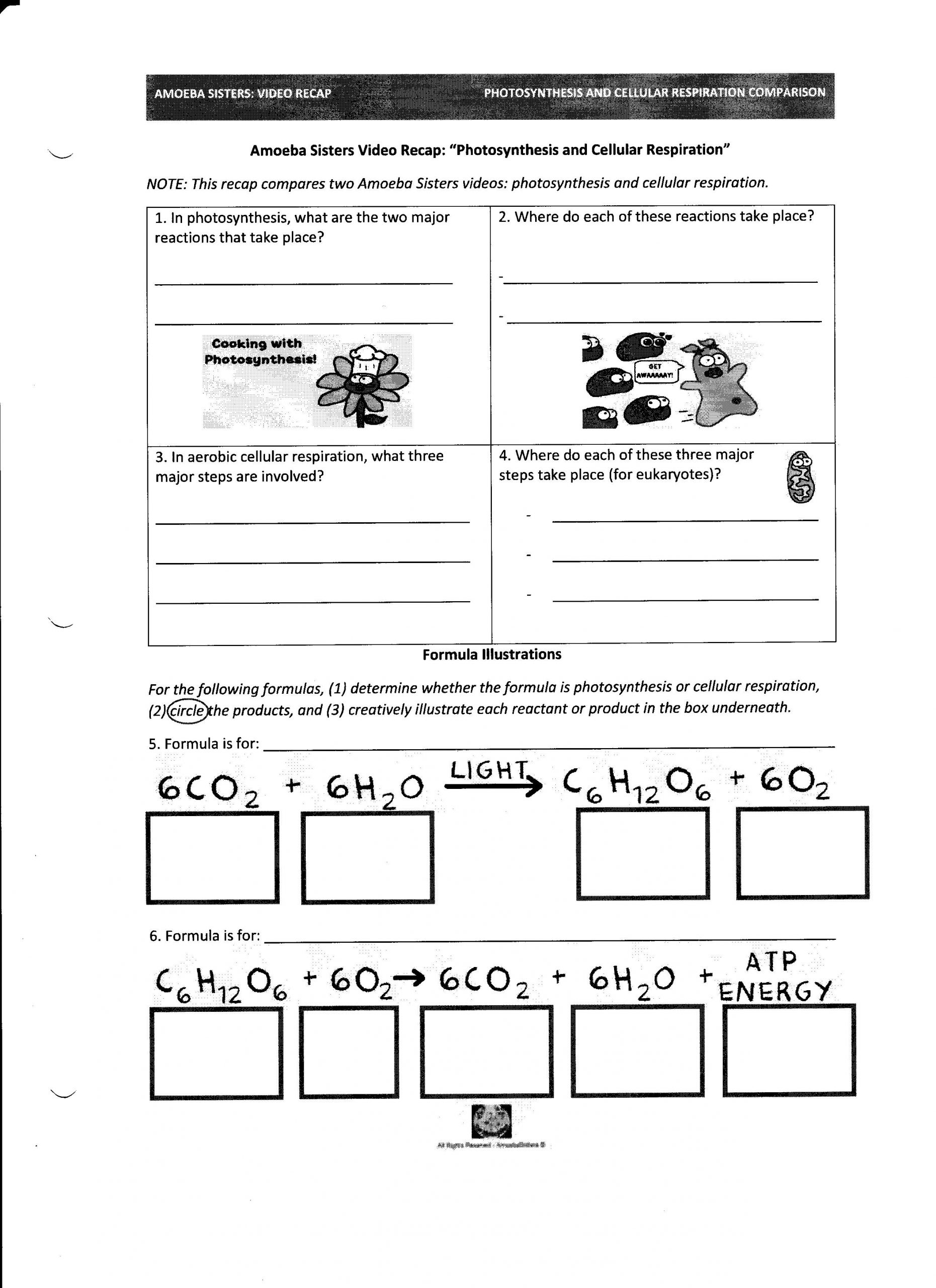 Photosynthesis and Respiration Worksheet Synthesis and Cellular Respiration Lessons Tes Teach