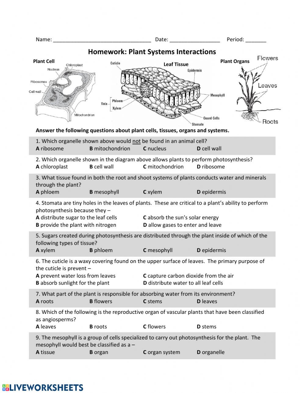 Photosynthesis Diagrams Worksheet Answers Plant Systems Interactions Interactive Worksheet