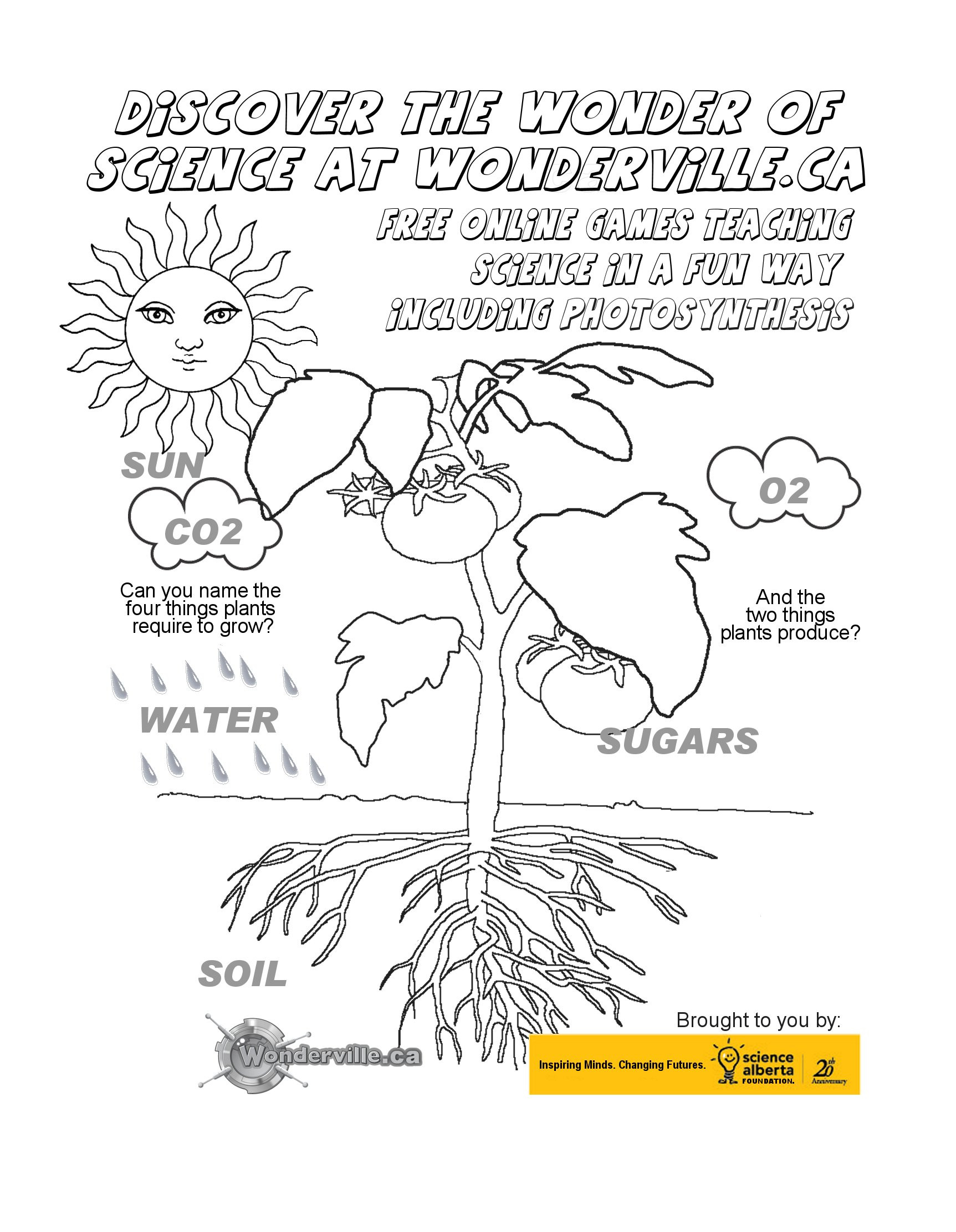 Photosynthesis Diagrams Worksheet Answers Sythesis Worksheet for Kids