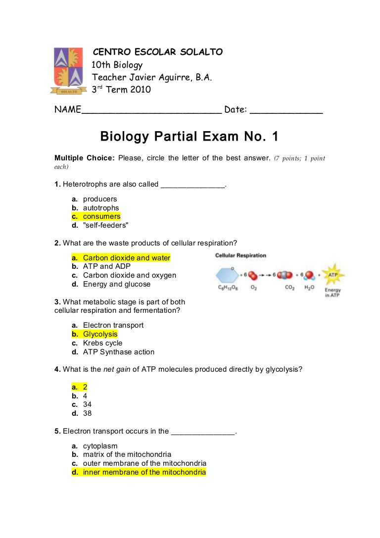 Photosynthesis Worksheet Answer Key Answer Key Quiz No 1 3rd Mp 2010
