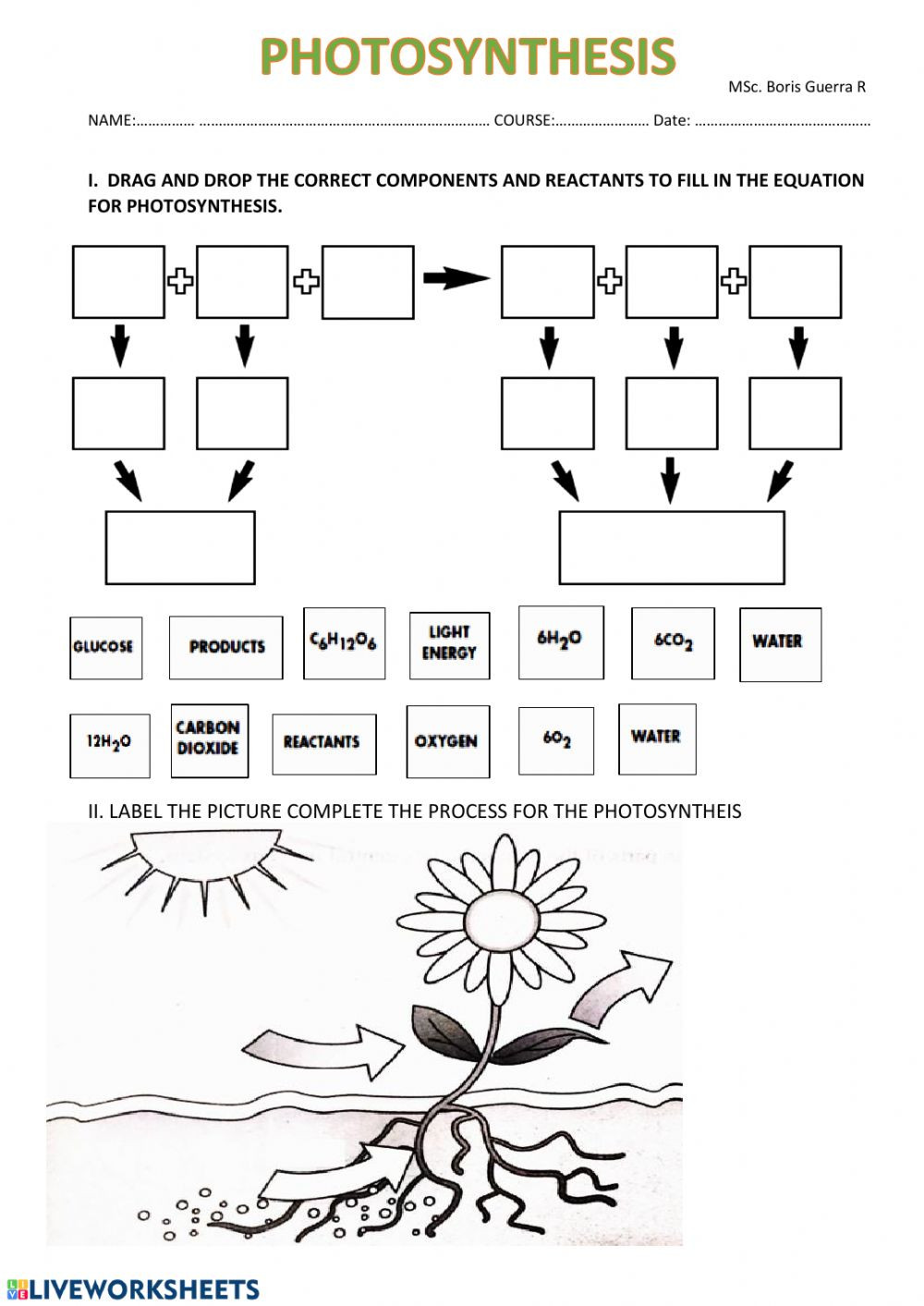 Photosynthesis Worksheet Answer Key Synthesis Interactive Worksheet
