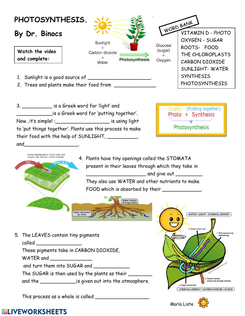 Photosynthesis Worksheet Answer Key Video Worksheet Photosynthesis Interactive Worksheet