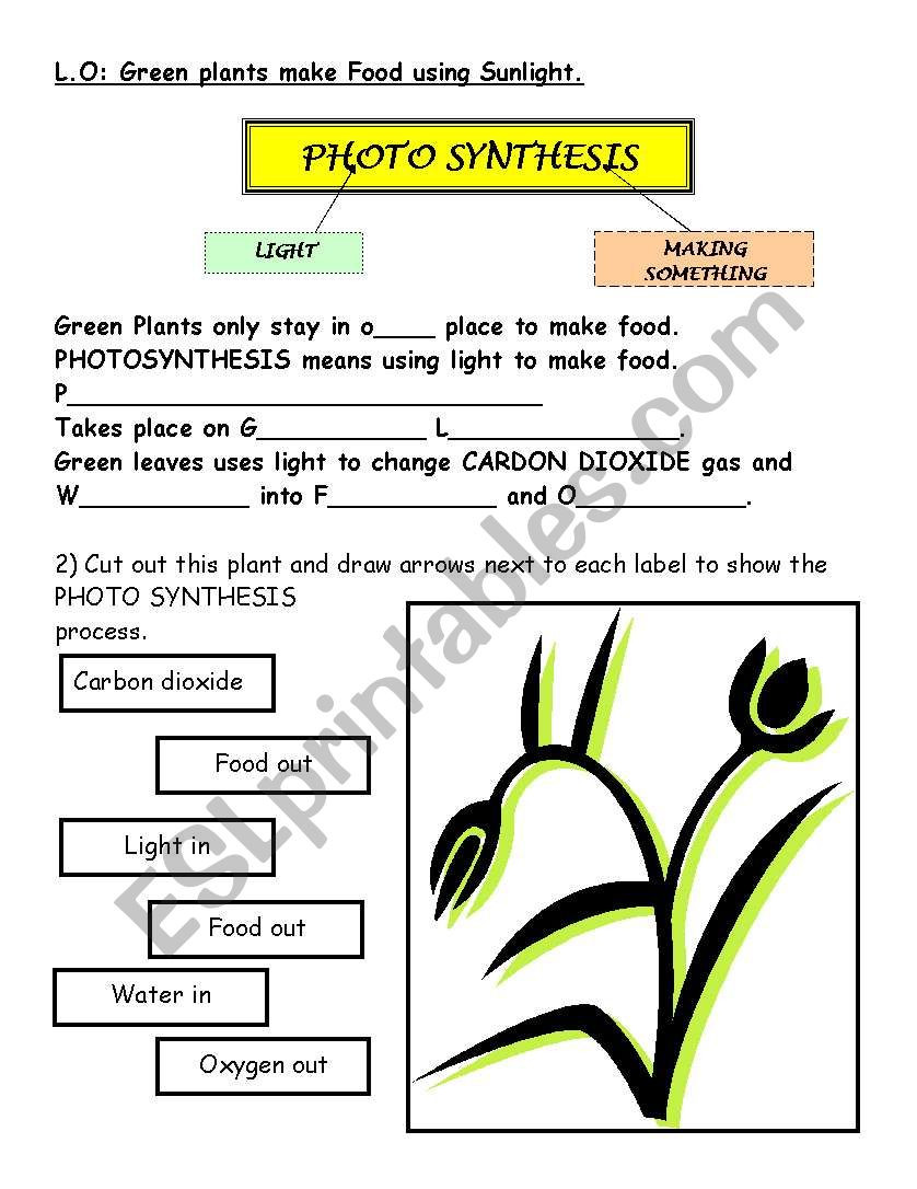 Photosynthesis Worksheet High School Photosynthesis Esl Worksheet by Rofloman
