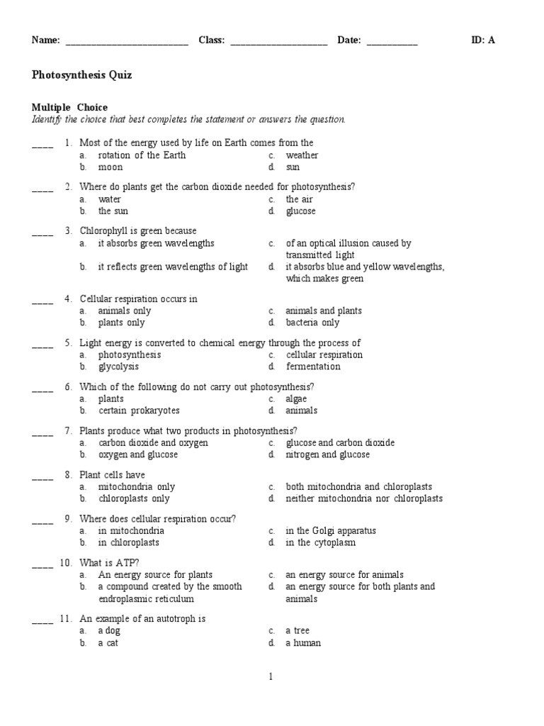 Photosynthesis Worksheet High School Synthesis Quiz Synthesis