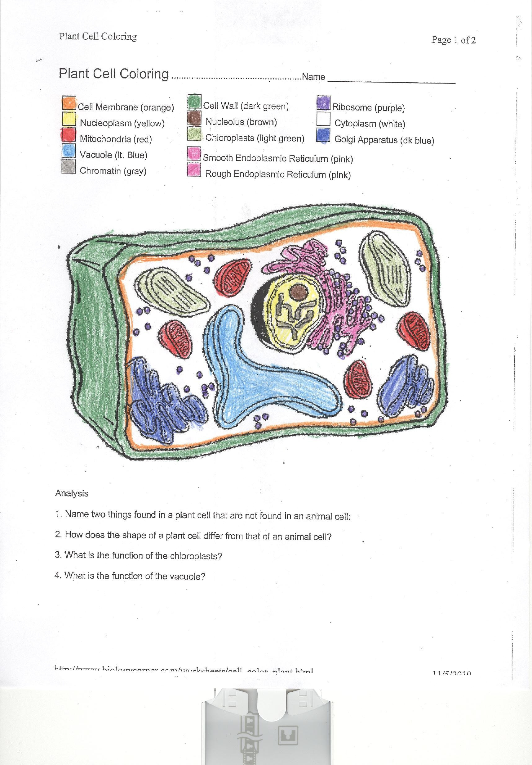 Plant Cell Coloring Worksheet Coloring Animal Cell Coloring Sheet Coloring Pages