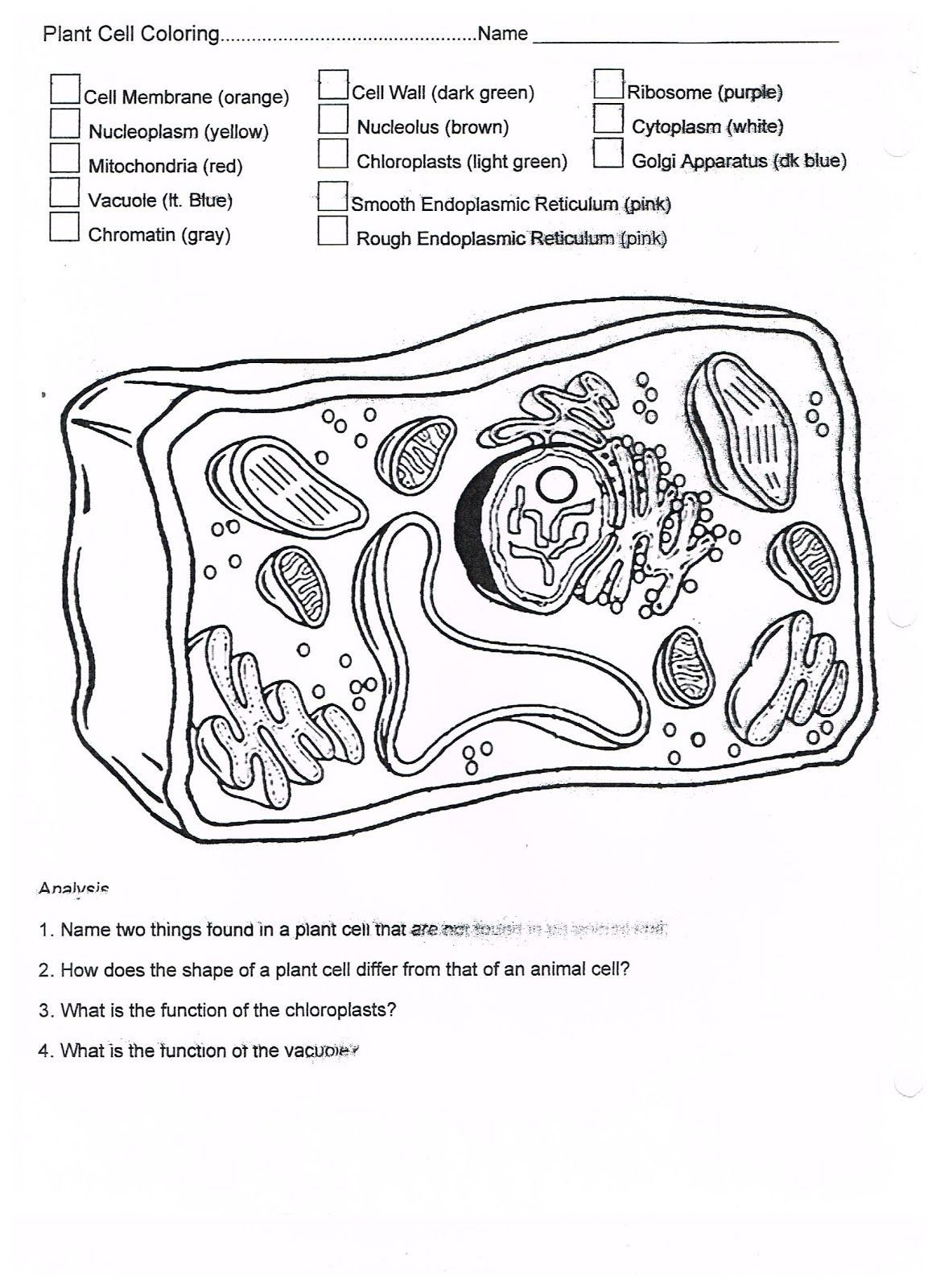 Plant Cell Coloring Worksheet Coloring Animal Cell Coloring Sheet Coloring Pages