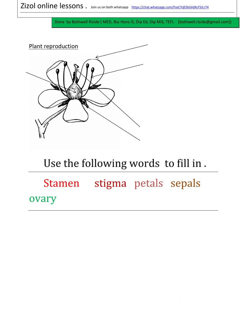 Plant Reproduction Worksheet Answers Grade 7 Plant Reproduction by Bothwell Riside Interactive