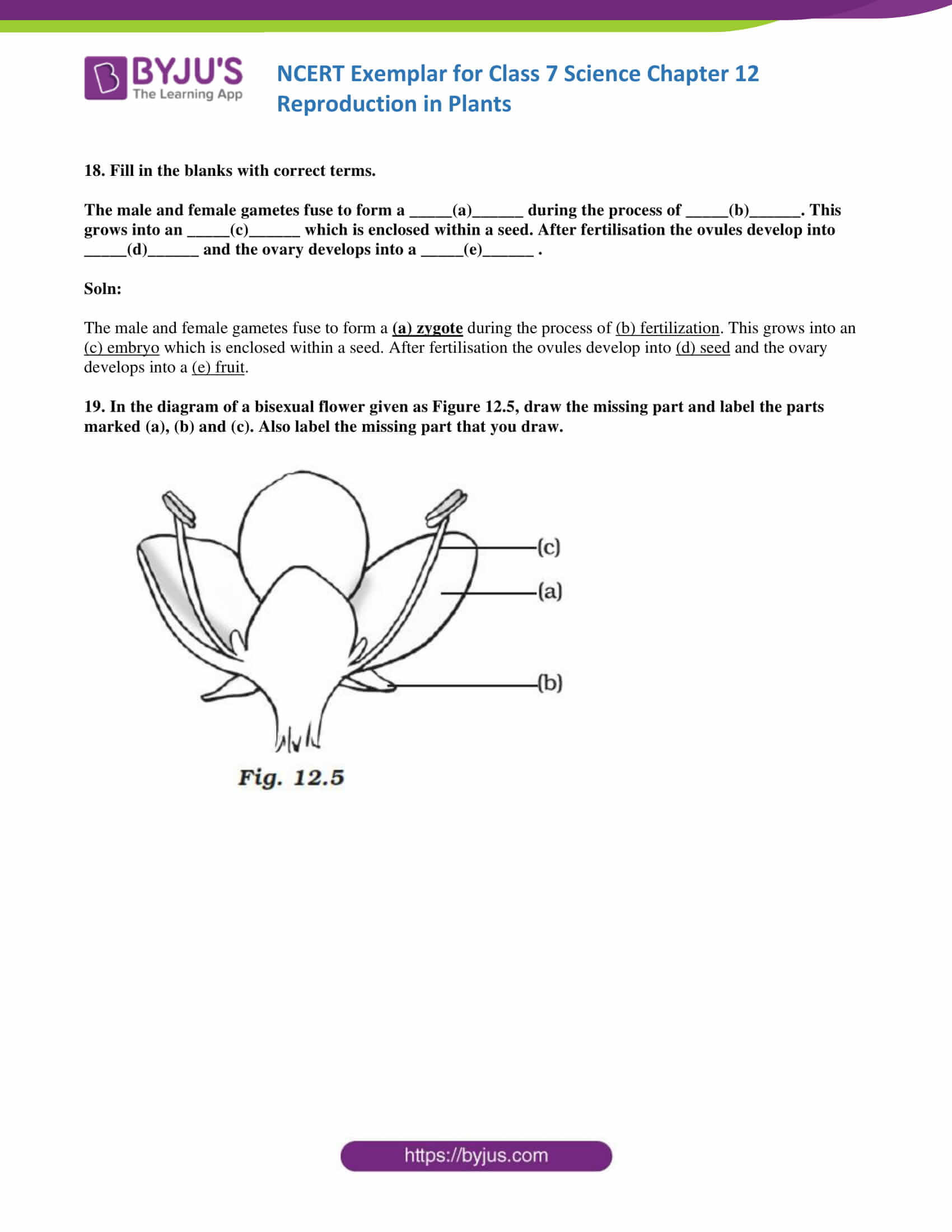 Plant Reproduction Worksheet Answers Ncert Exemplar solutions for Class 7 Science Chapter 12