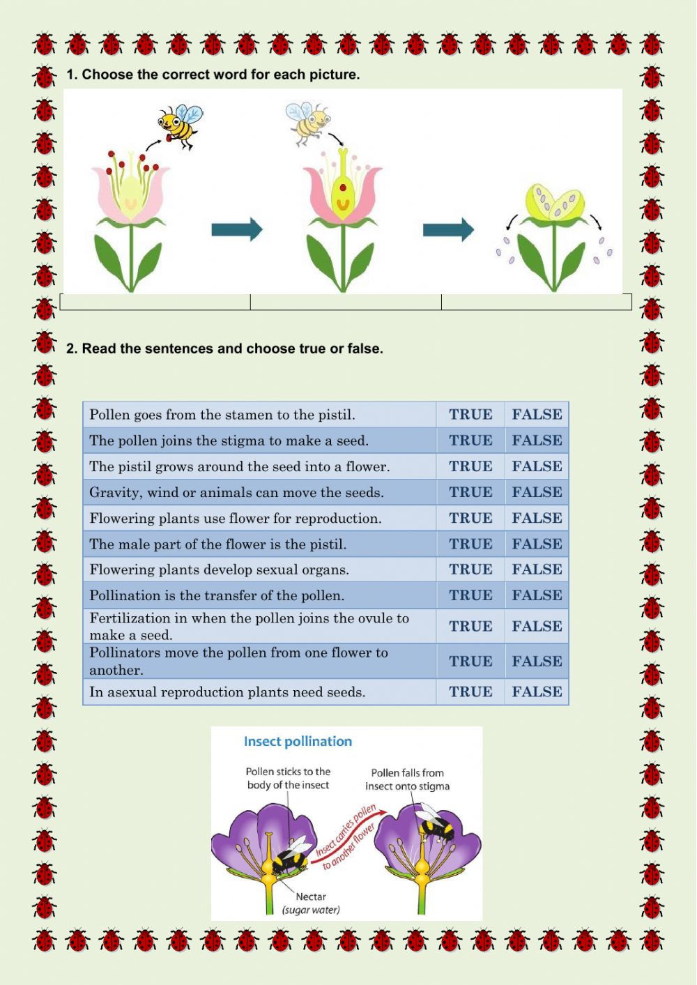 Plant Reproduction Worksheet Answers Plant Reproduction Interactive Worksheet