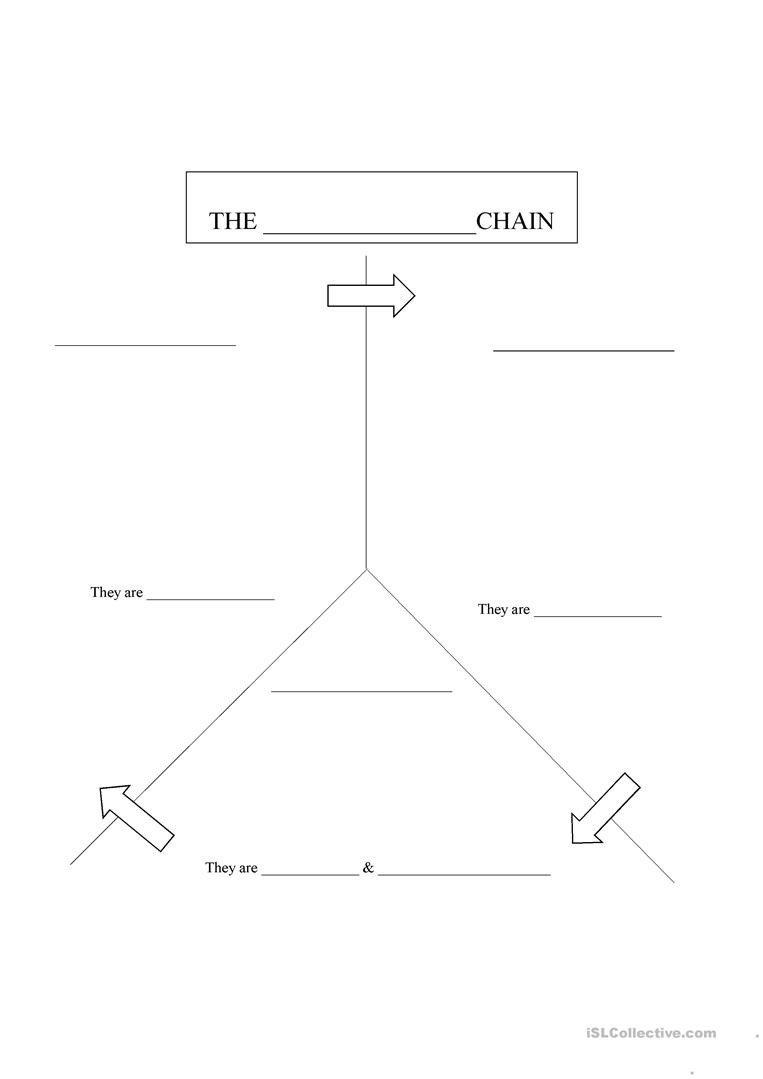 Producers and Consumers Worksheet Food Chain Fill In the Blank Producers Consumers