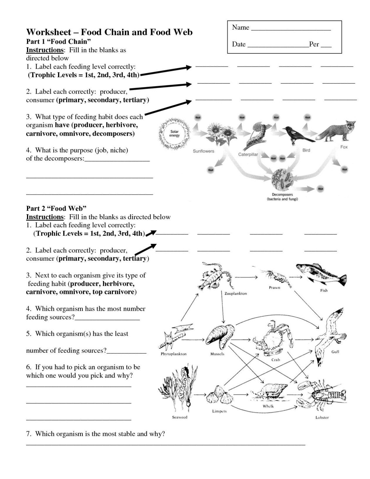 Producers and Consumers Worksheet Worksheets Food Chains and Food Webs – Mreichert Kids