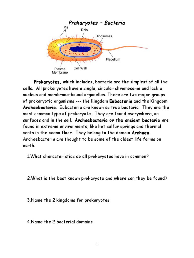 Prokaryotes Bacteria Worksheet Answers Prokaryote Coloring Prokaryote
