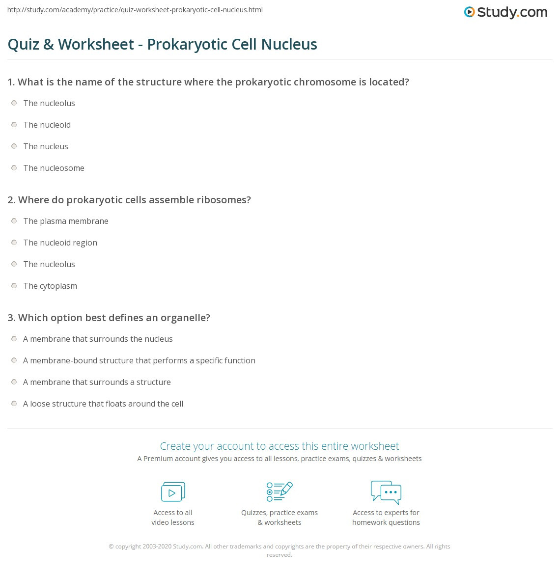 Prokaryotes Bacteria Worksheet Answers Quiz &amp; Worksheet Prokaryotic Cell Nucleus