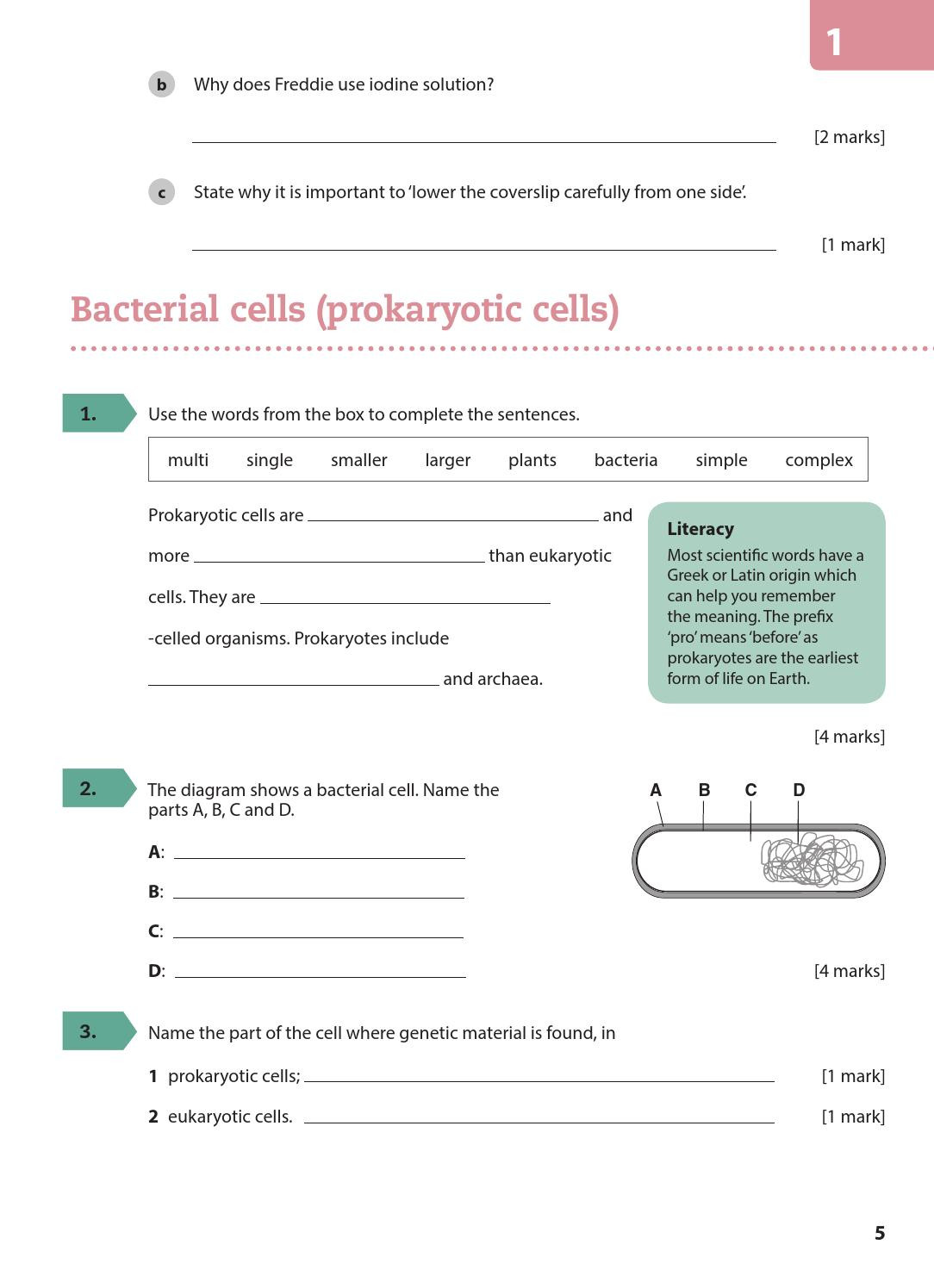 Prokaryotes Vs Eukaryotes Worksheet Aqa Gcse Biology Grade 5 Booster Workbook by Collins issuu