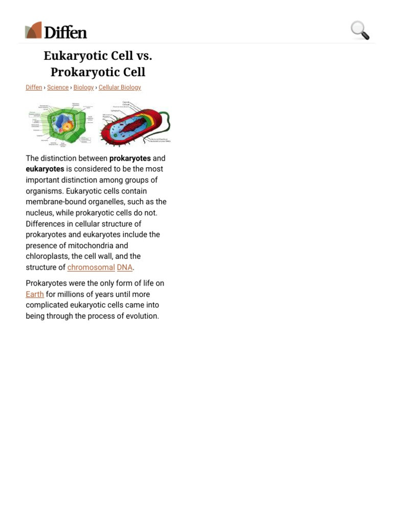 Prokaryotes Vs Eukaryotes Worksheet Eukaryotic Cell Vs Prokaryotic Cell Difference and