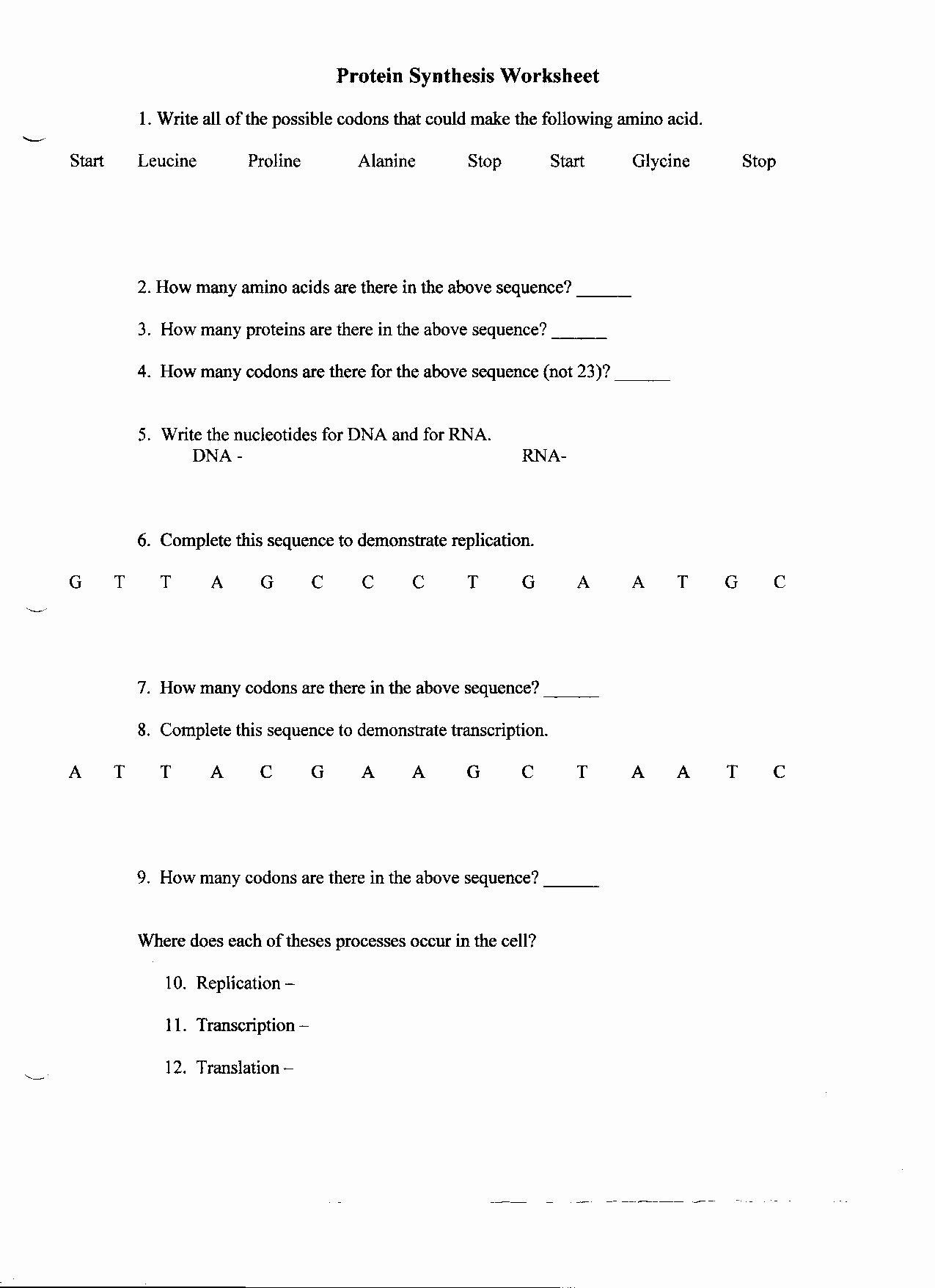 Protein Synthesis Practice Worksheet Pin On Customize Design Worksheet Line